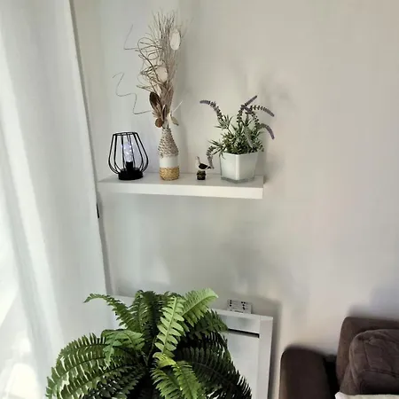 Georges De Didonne - Pleine Vue Pour Ce Face A La アパート サン・ジョルジュ・ド・ディドンヌ