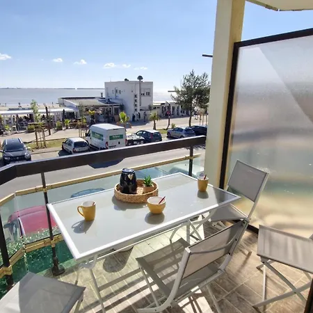 Georges De Didonne - Pleine Vue Pour Ce Face A La Daire *